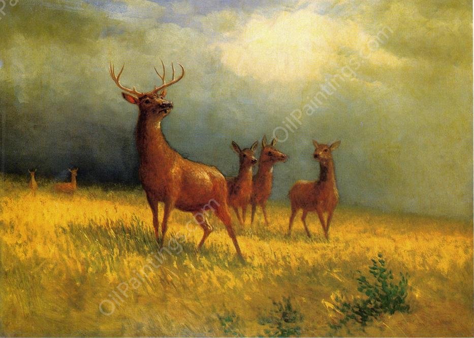 Deer in a Field by Albert Bierstadt - Hand-Painted Oil Painting Reproduction