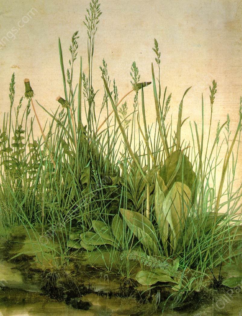 The Large Turf by Albrecht Duerer - Hand-Painted Oil Painting Reproduction