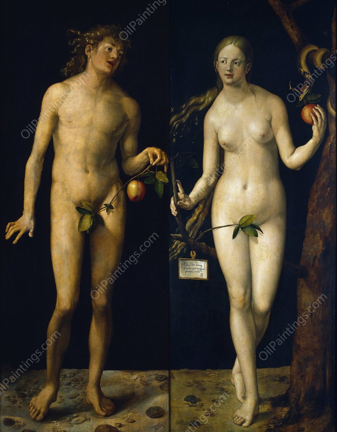 Adam And Eve  by Albrecht Durer - Hand-Painted Oil Painting Reproduction