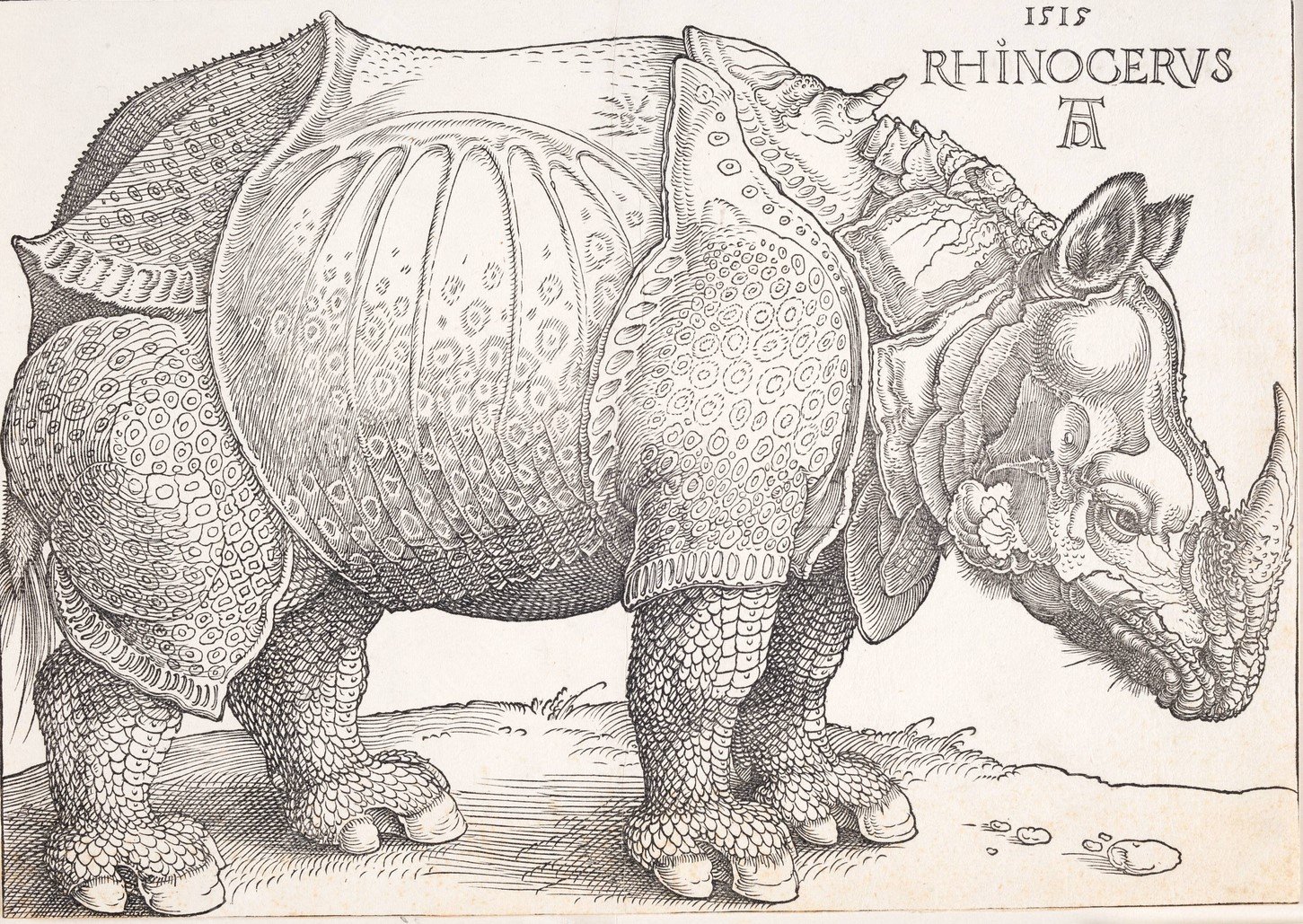 The rhinoceros  by Albrecht Durer - Hand-Painted Oil Painting Reproduction