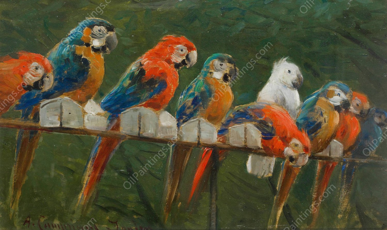 Pappagalli by Alceste Campriani - Hand-Painted Oil Painting Reproduction
