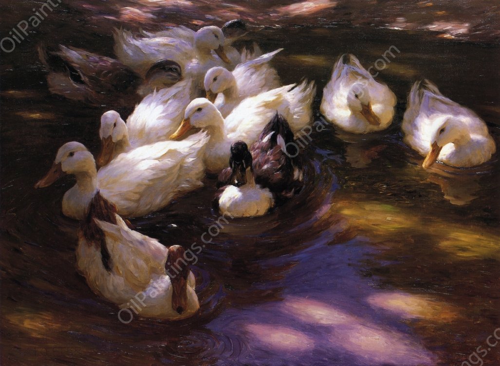 Eleven Ducks in the Morning Sun by Alexander Koester - Hand-Painted Oil Painting Reproduction