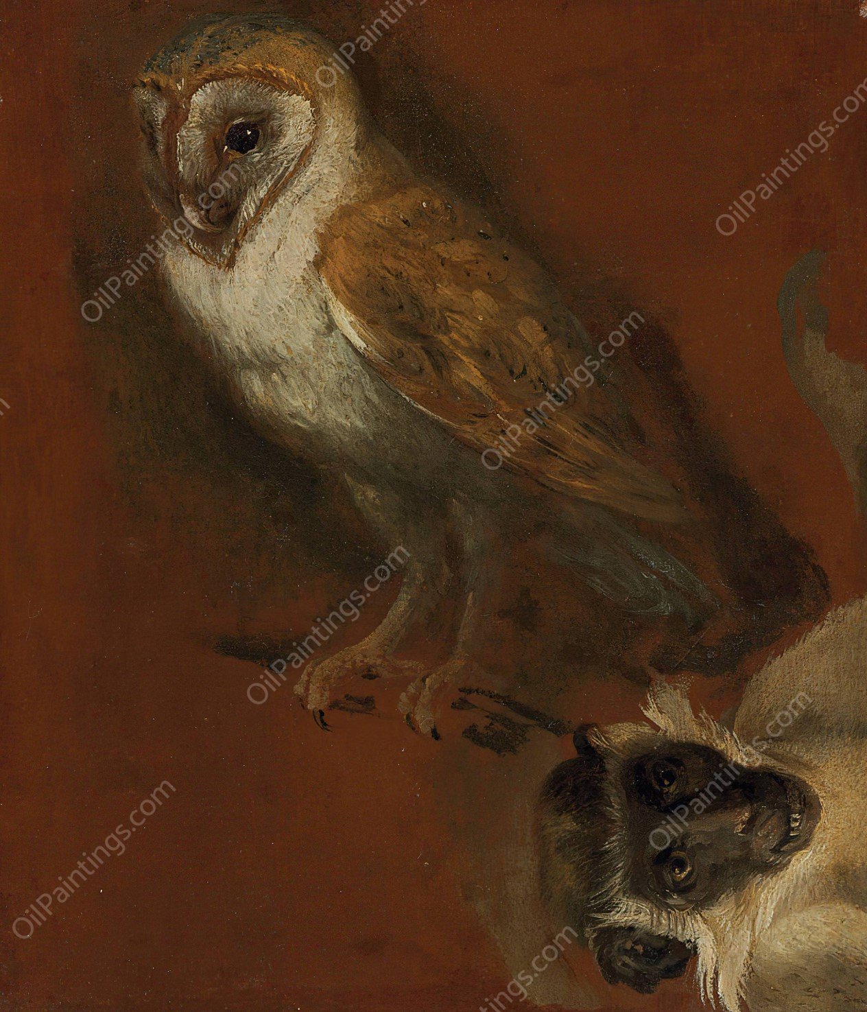 Study of an owl, with a fragmentary study of a monkey by Alexandre Francois Desportes - Hand-Painted Oil Painting Reproduction