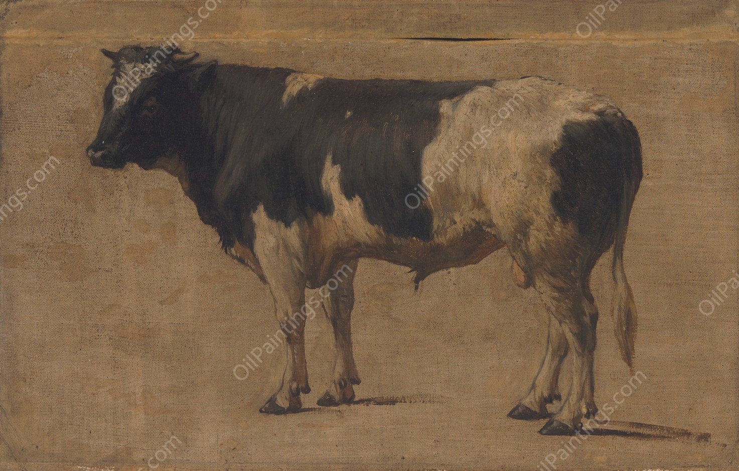 Bull by Andre Plumot - Hand-Painted Oil Painting Reproduction