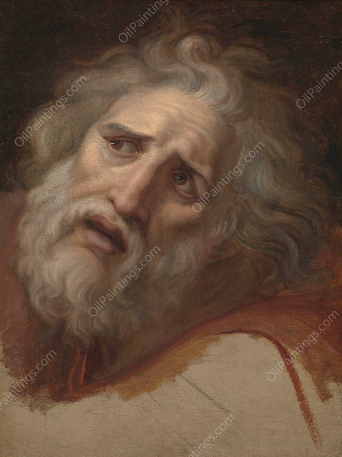 Head of Laocoon  by Andrea Appiani - Hand-Painted Oil Painting Reproduction