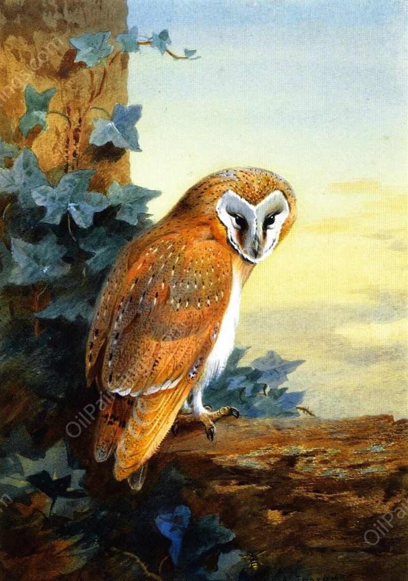A Barn Owl by Archibald Thorburn - Hand-Painted Oil Painting Reproduction