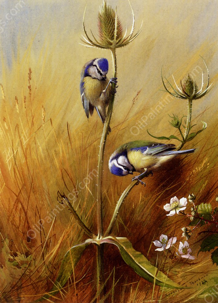 Bluetits On A Teasel by Archibald Thorburn - Hand-Painted Oil Painting Reproduction