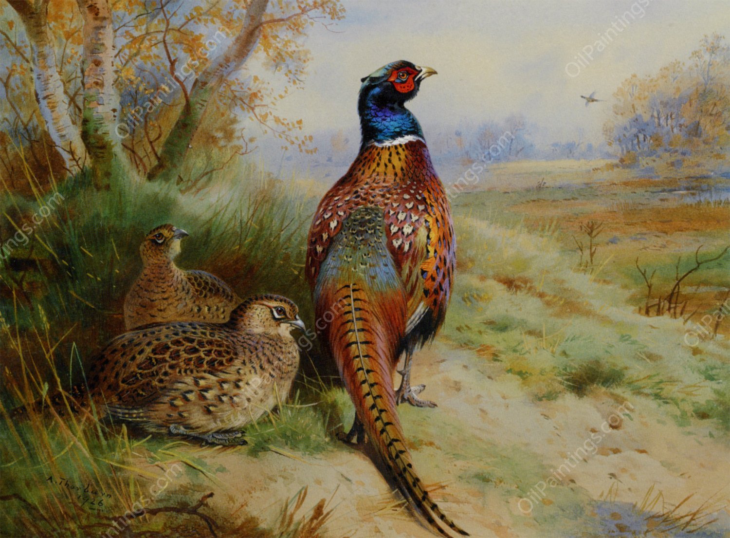 Cock and Hen Pheasant at the Edge of a Wood by Archibald Thorburn - Hand-Painted Oil Painting Reproduction