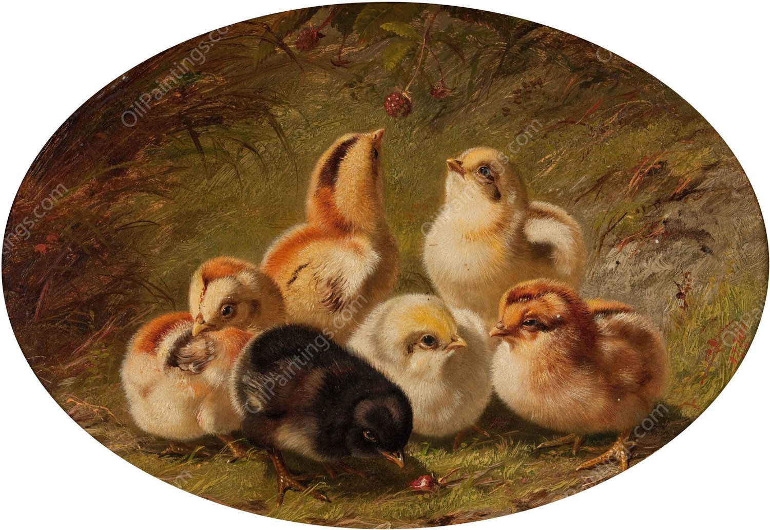 A Brood of Chicks  by Arthur Fitzwilliam Tait - Hand-Painted Oil Painting Reproduction