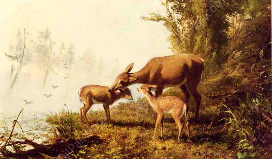 Deer in the Woods by Arthur Fitzwilliam Tait - Hand-Painted Oil Painting Reproduction