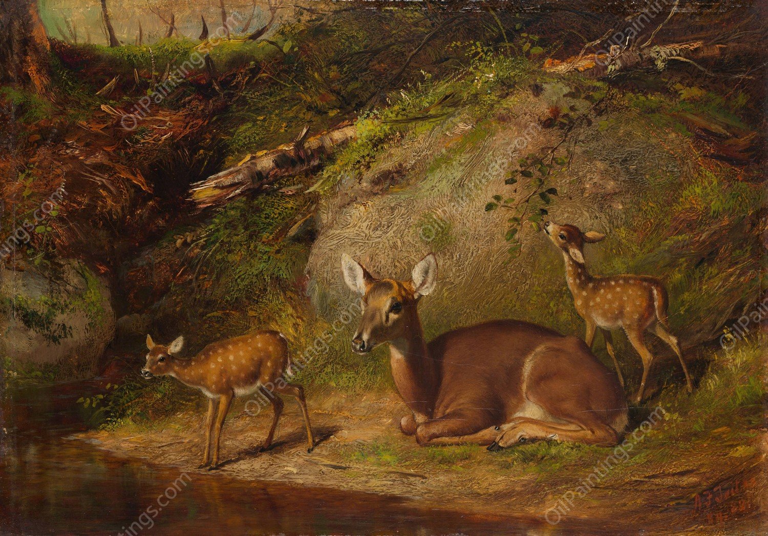 Doe and Two Fawns  by Arthur Fitzwilliam Tait - Hand-Painted Oil Painting Reproduction