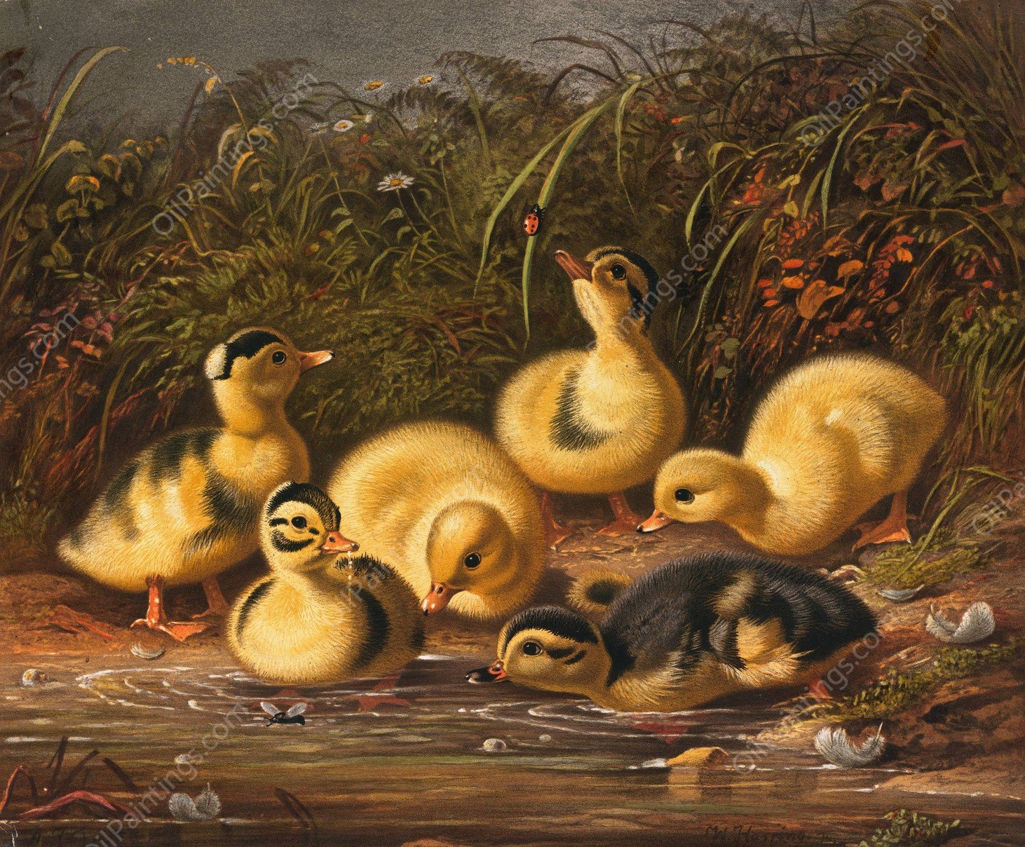 Group of Ducklings  by Arthur Fitzwilliam Tait - Hand-Painted Oil Painting Reproduction