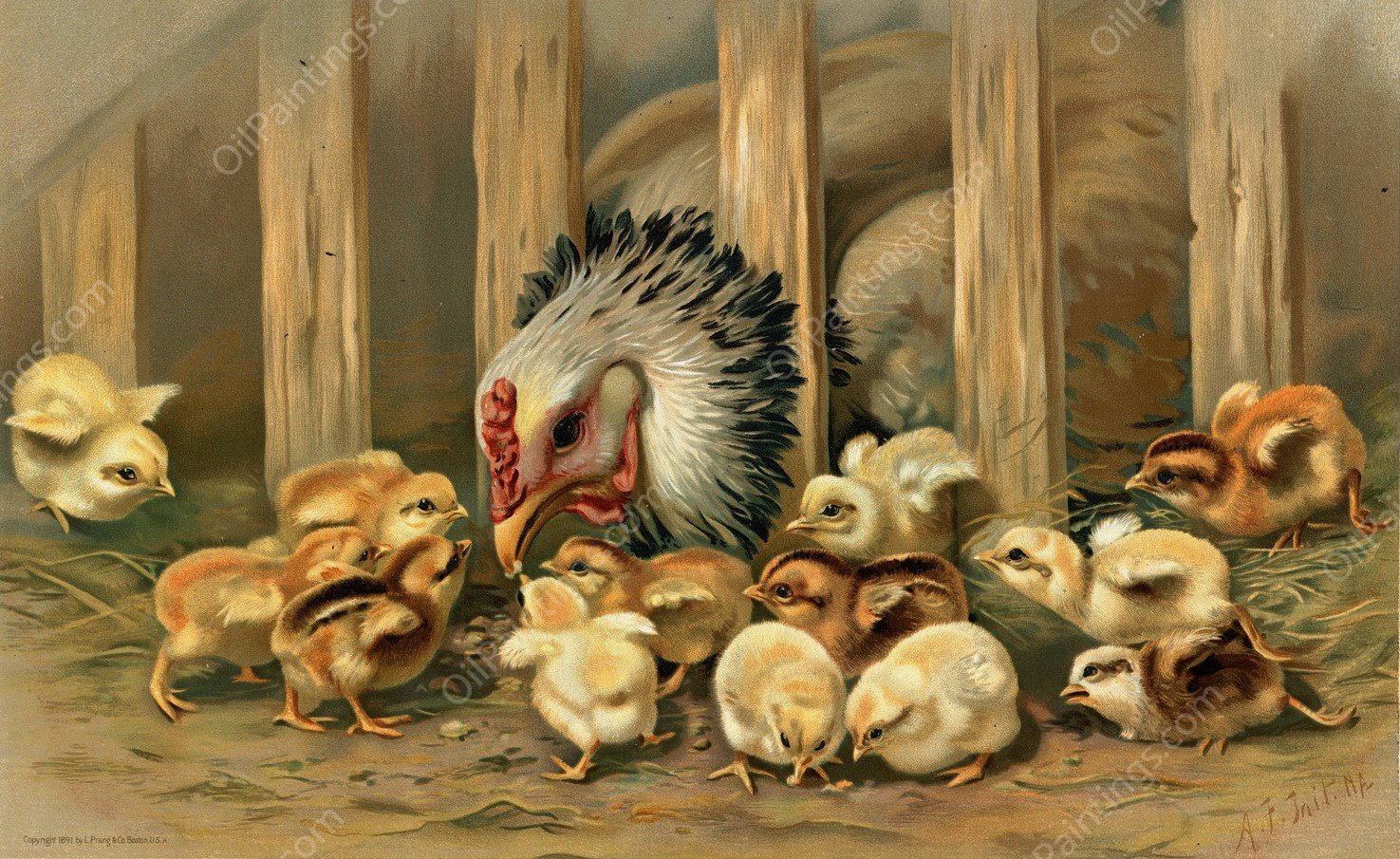 Kluck! Kluck!  by Arthur Fitzwilliam Tait - Hand-Painted Oil Painting Reproduction