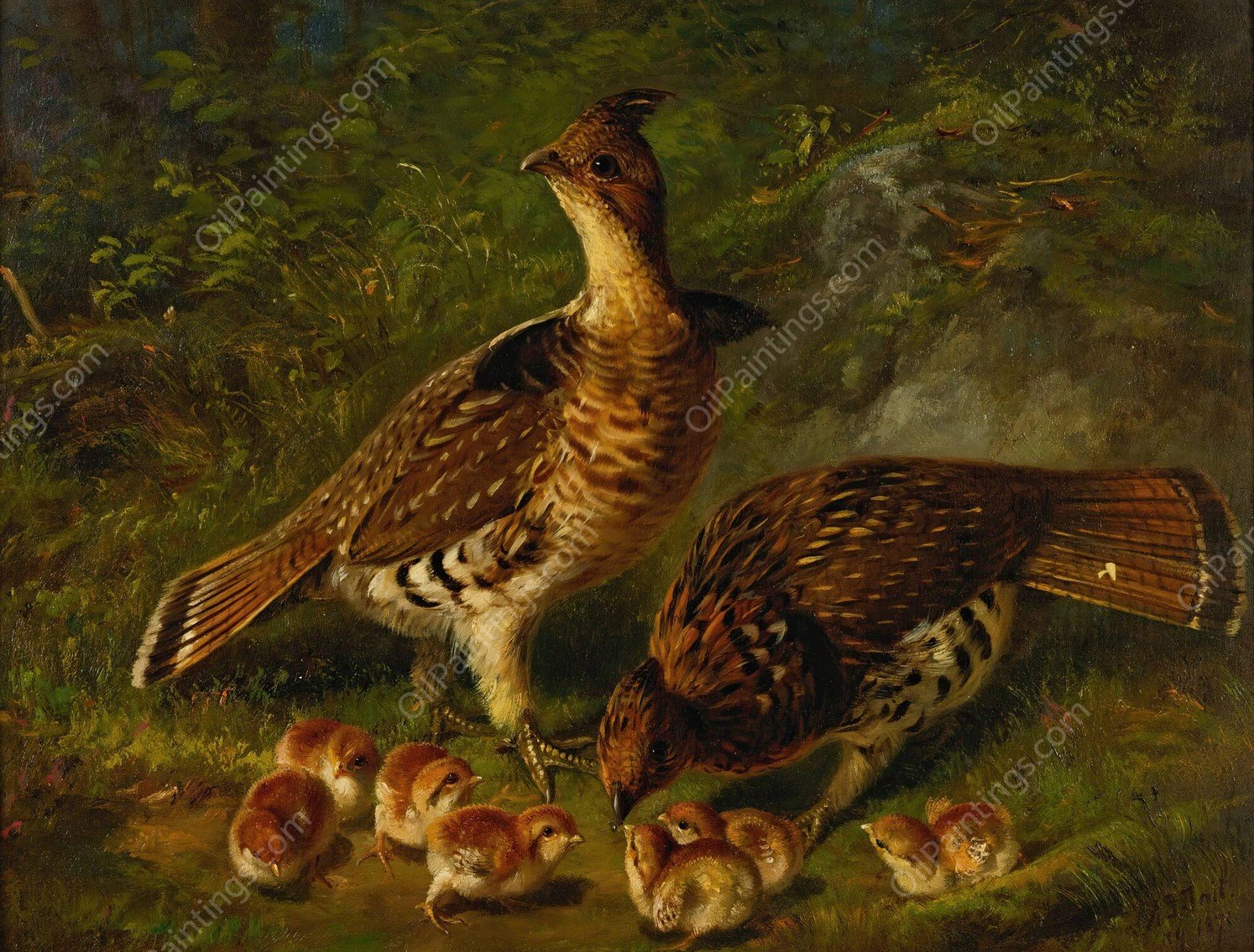 Pair Ruffed Grouse And Young  by Arthur Fitzwilliam Tait - Hand-Painted Oil Painting Reproduction