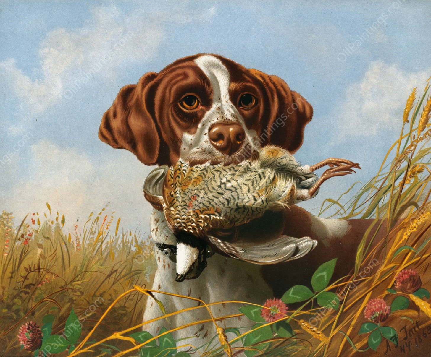 Pointer and Quail  by Arthur Fitzwilliam Tait - Hand-Painted Oil Painting Reproduction