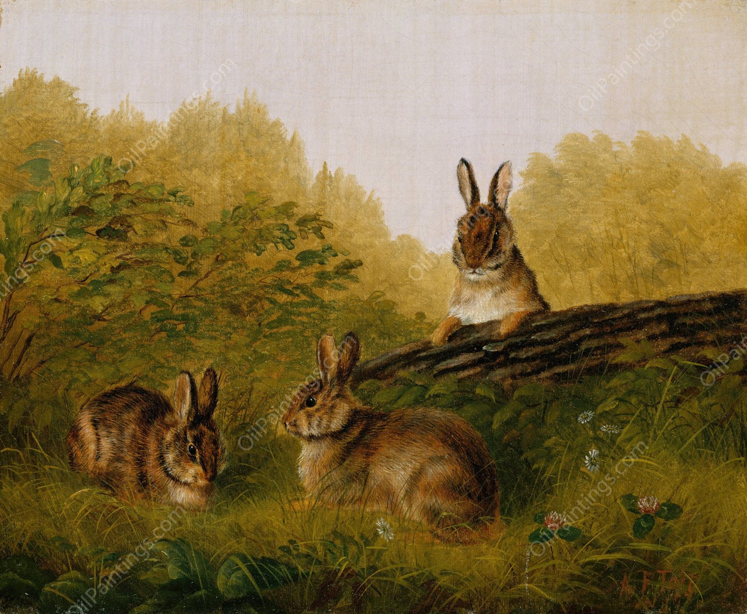 Rabbits on a Log  by Arthur Fitzwilliam Tait - Hand-Painted Oil Painting Reproduction