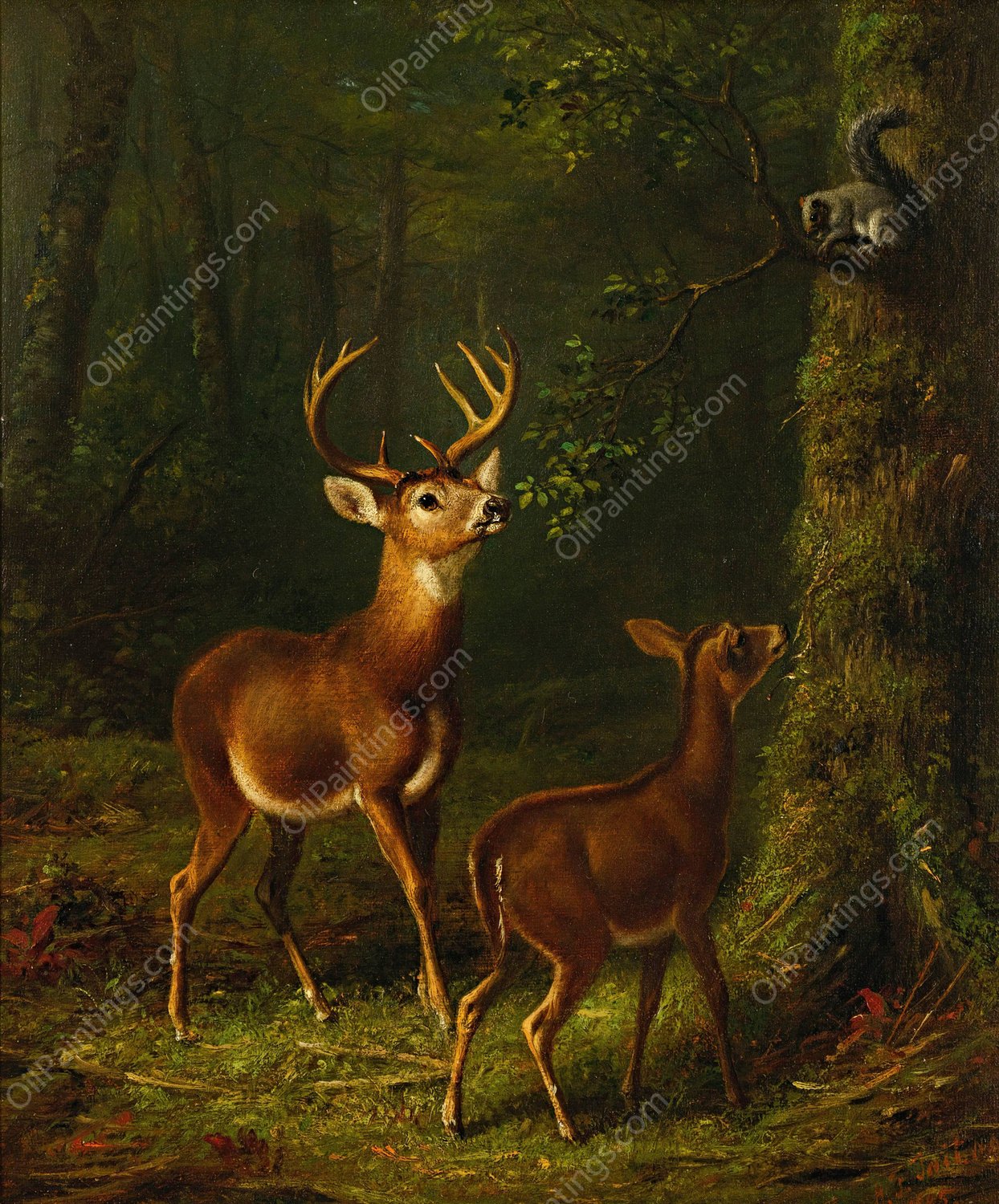 The Forest, Adirondacks  by Arthur Fitzwilliam Tait - Hand-Painted Oil Painting Reproduction