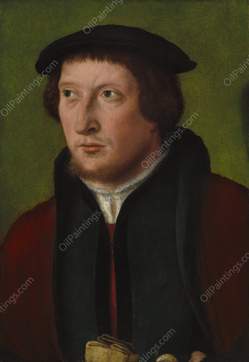 Portrait of a Man  by Barthel Bruyn The Elder - Hand-Painted Oil Painting Reproduction