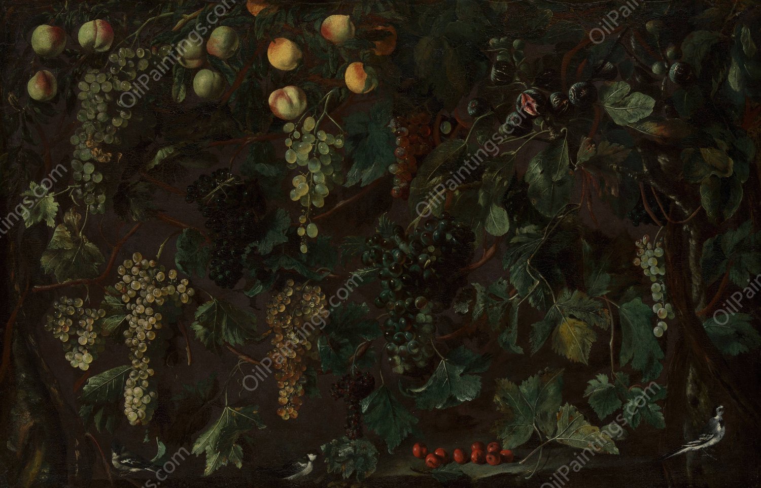 Grape Vines and Fruit, with Three Wagtails  by Bartolomeo Cavarozzi - Hand-Painted Oil Painting Reproduction