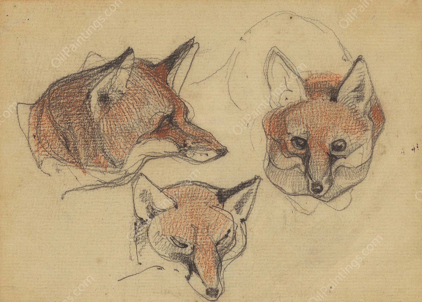 Drie vossenkoppen  by Bernard Willem Wierink - Hand-Painted Oil Painting Reproduction