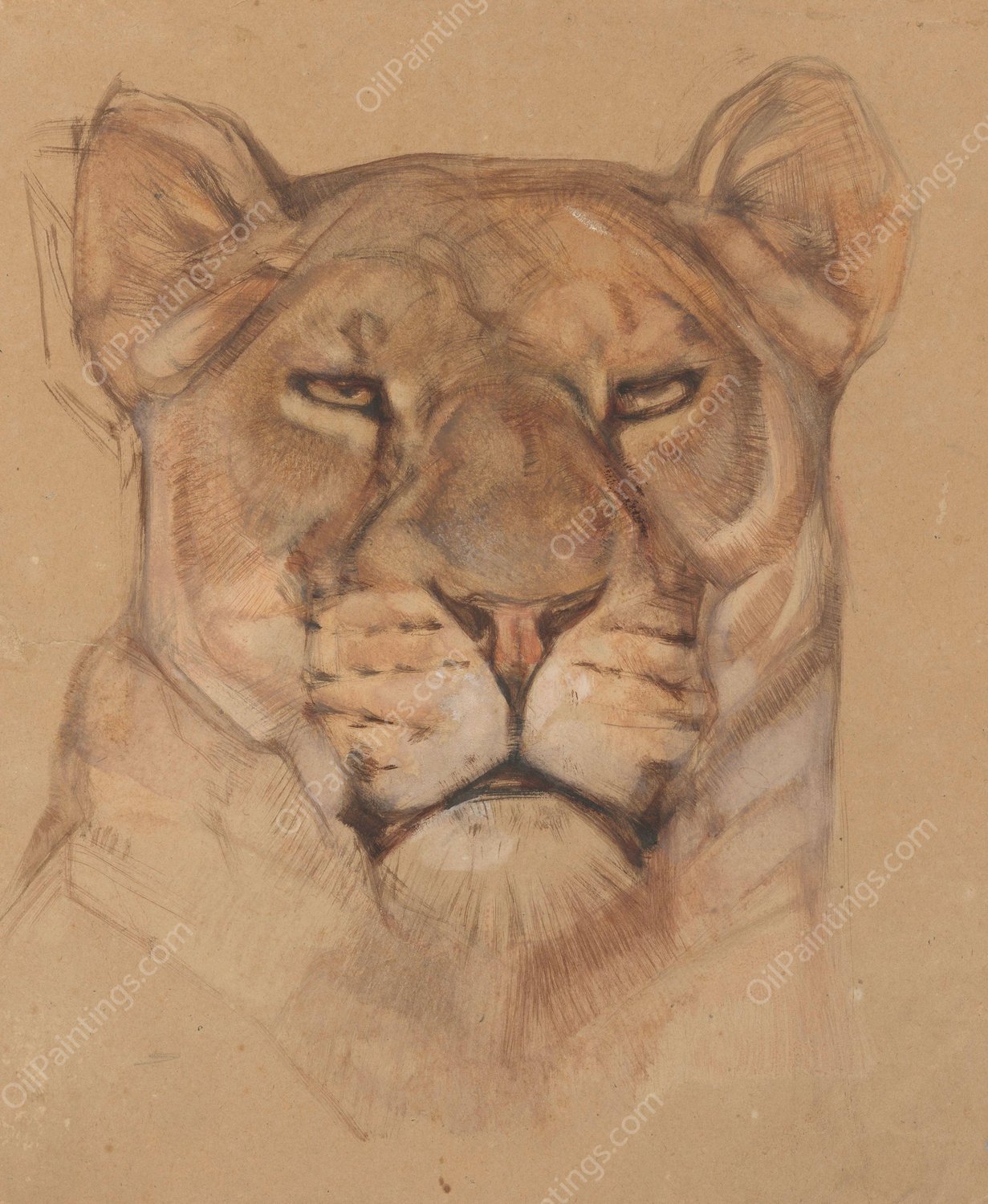 Kop leeuwin  by Bernard Willem Wierink - Hand-Painted Oil Painting Reproduction