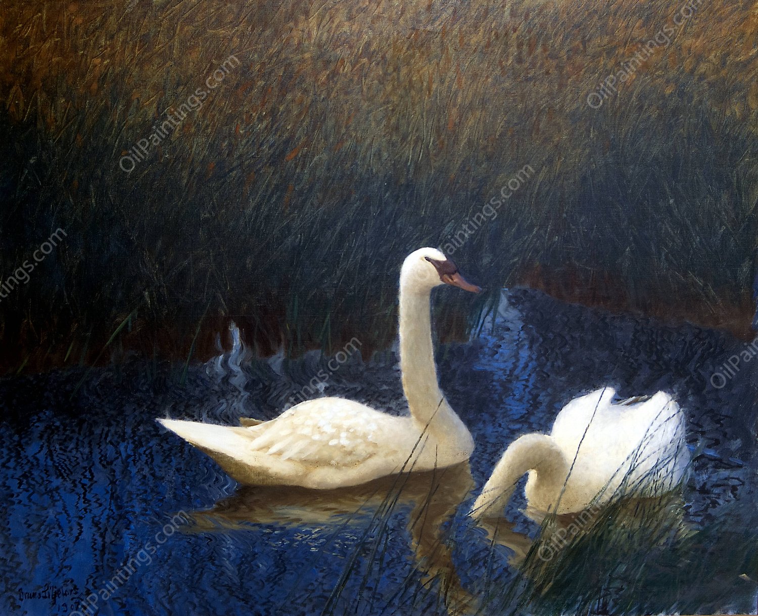 Swans in Reeds  by Bruno Liljefors - Hand-Painted Oil Painting Reproduction