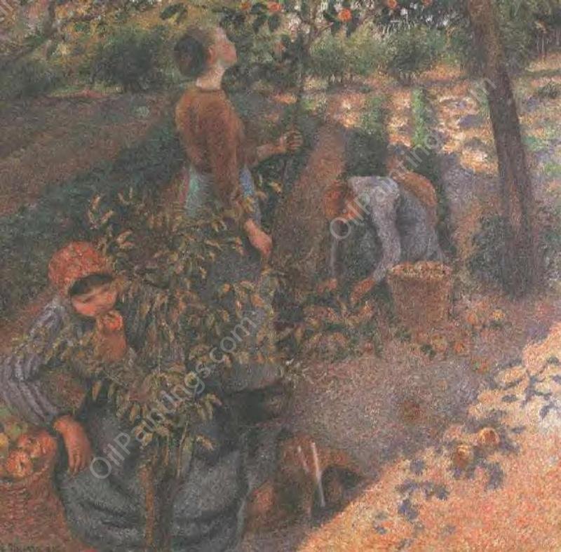 Apple Picking by Camille Pissarro - Hand-Painted Oil Painting Reproduction