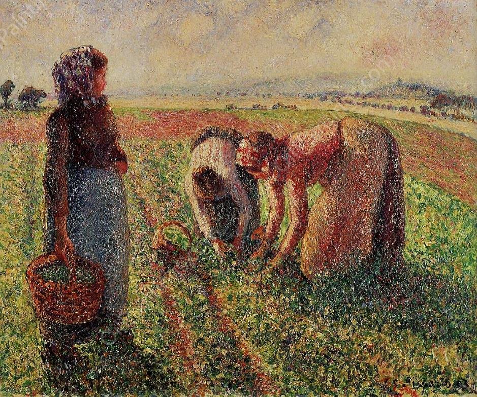Picking Peas by Camille Pissarro - Hand-Painted Oil Painting Reproduction