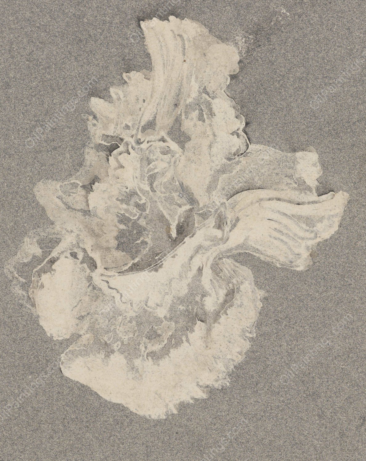 Azaleabloem  by Carel Adolph Lion Cachet - Hand-Painted Oil Painting Reproduction