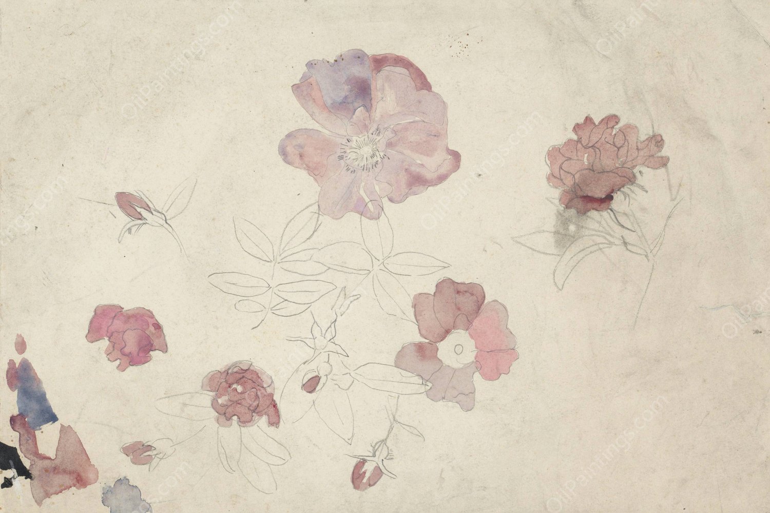 Bloemenstudies in paars en roze  by Carel Adolph Lion Cachet - Hand-Painted Oil Painting Reproduction