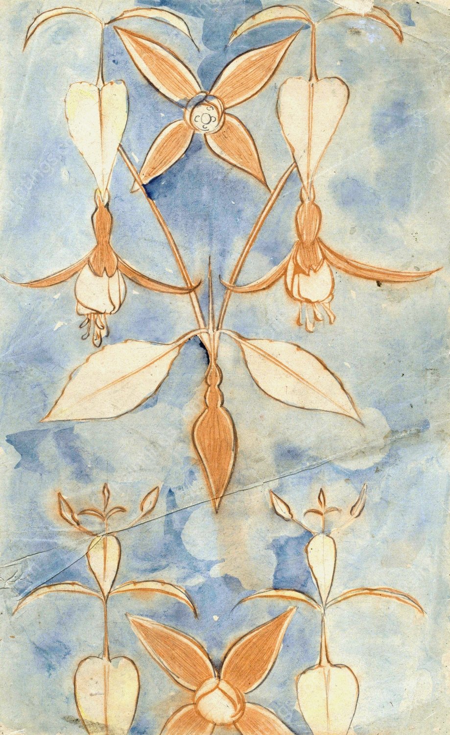 Fuchsia's  by Carel Adolph Lion Cachet - Hand-Painted Oil Painting Reproduction