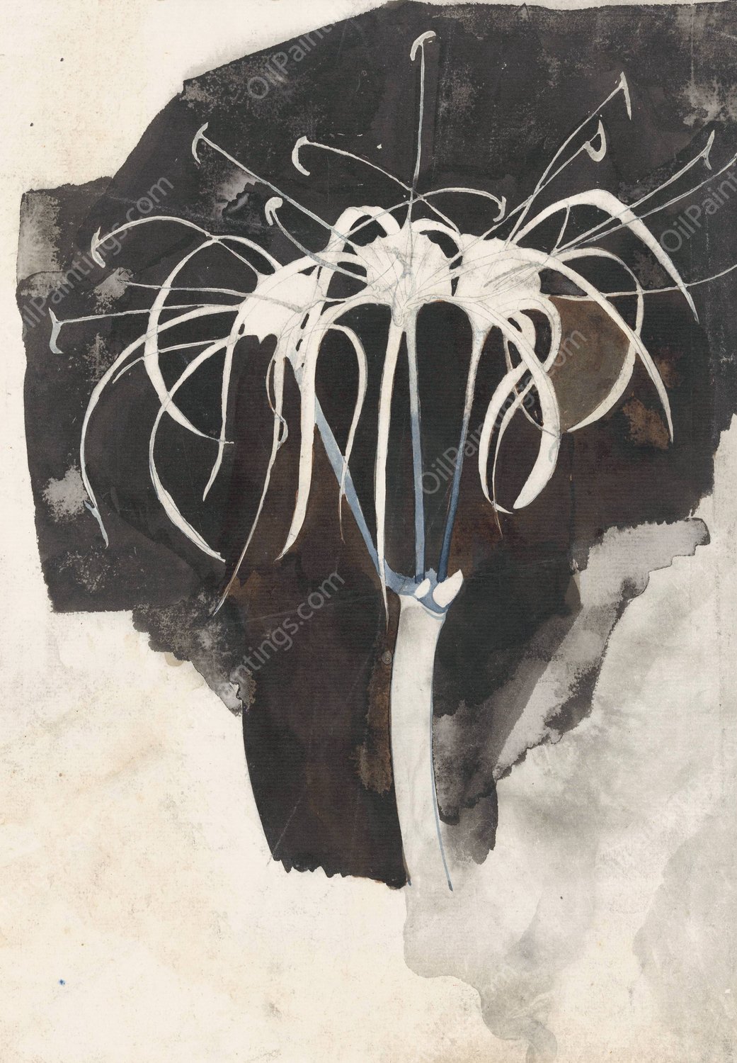 Studie van kamperfoelie  by Carel Adolph Lion Cachet - Hand-Painted Oil Painting Reproduction