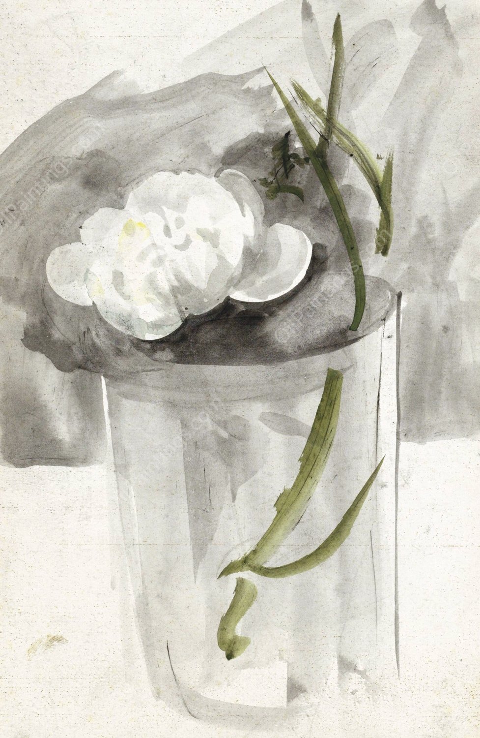 Witte bloem in een glas  by Carel Adolph Lion Cachet - Hand-Painted Oil Painting Reproduction