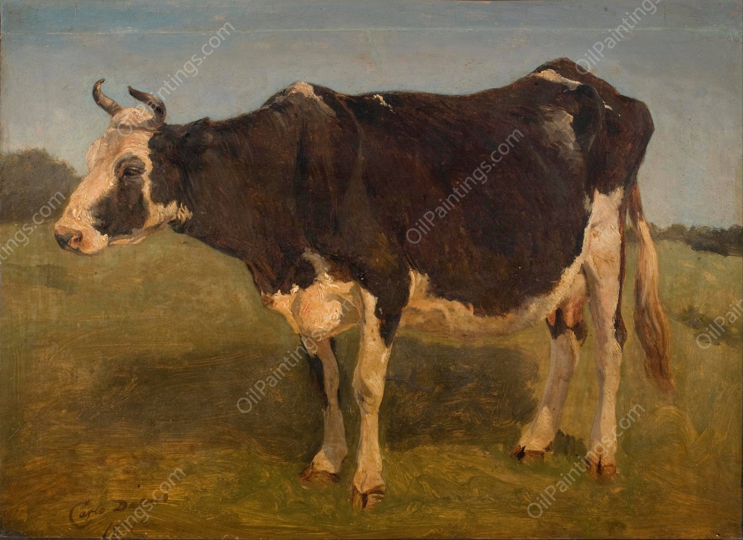Black and white cow standing. Study  by Carlo Dalgas - Hand-Painted Oil Painting Reproduction