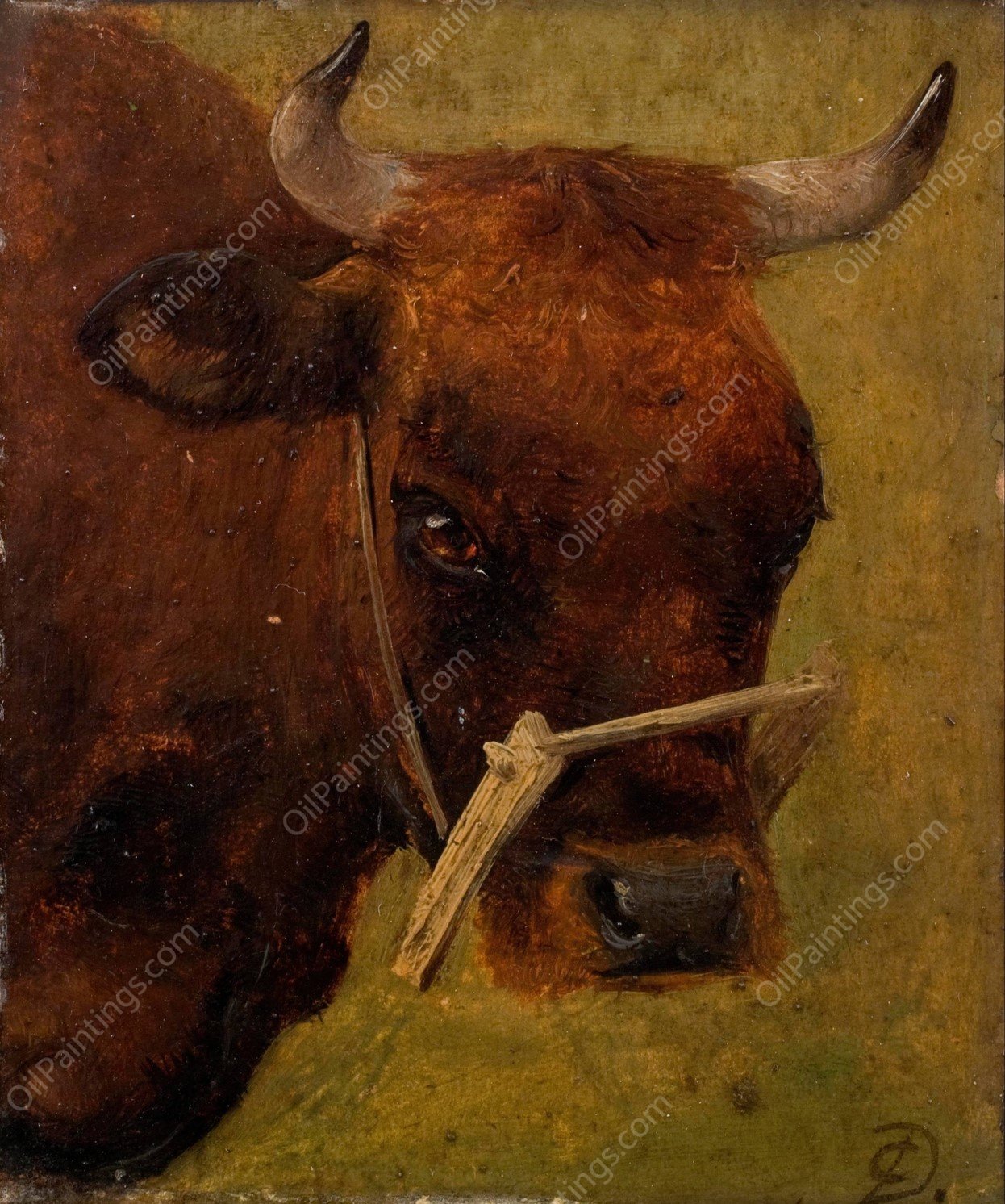 Head of a cow. Study  by Carlo Dalgas - Hand-Painted Oil Painting Reproduction