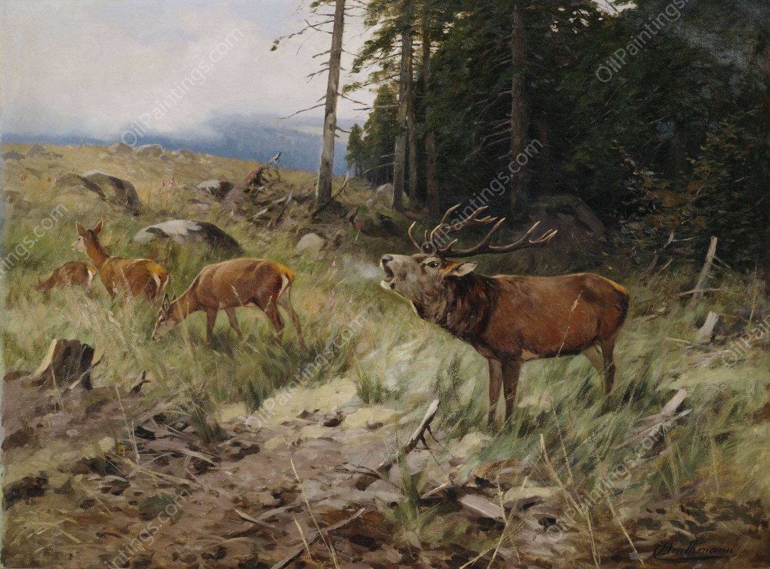 Rohrender Hirsch und Rehe am Waldrand by Christoffer Drathmann - Hand-Painted Oil Painting Reproduction