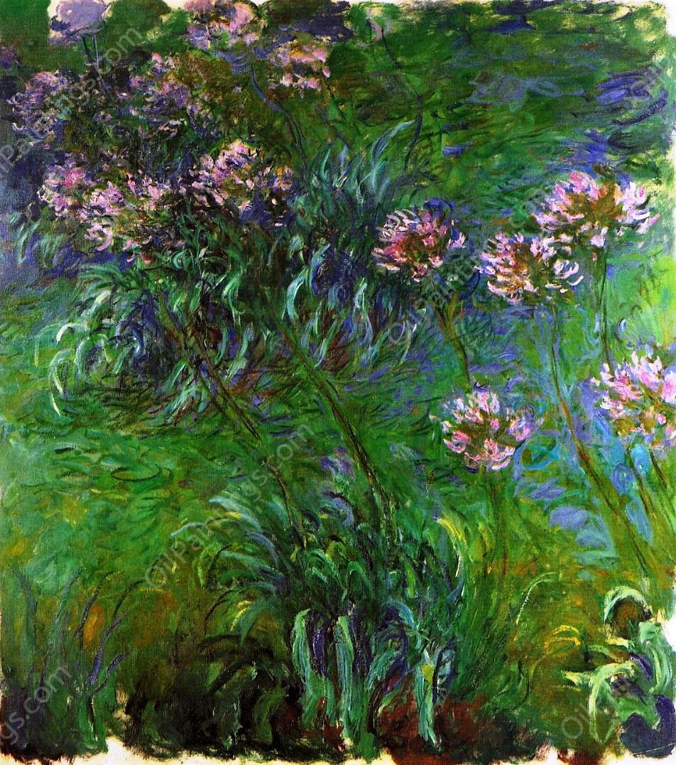 Agapanathus by Claude Monet - Hand-Painted Oil Painting Reproduction