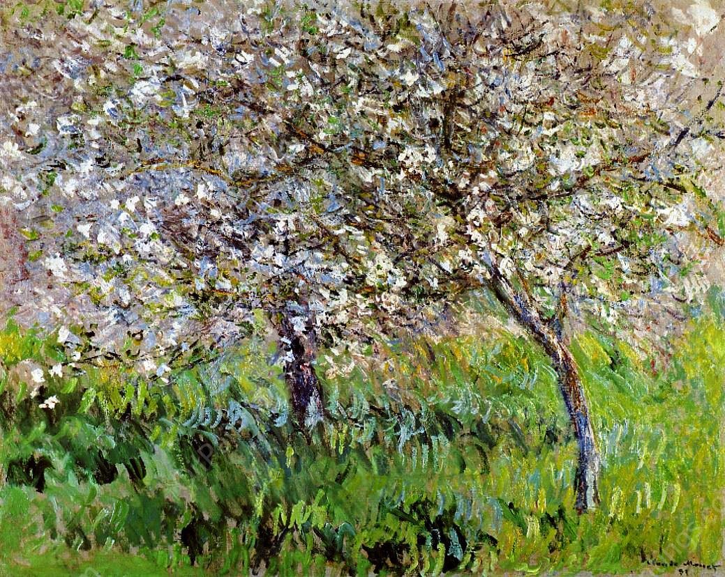 Apple Trees in Bloom at Giverny by Claude Monet - Hand-Painted Oil Painting Reproduction