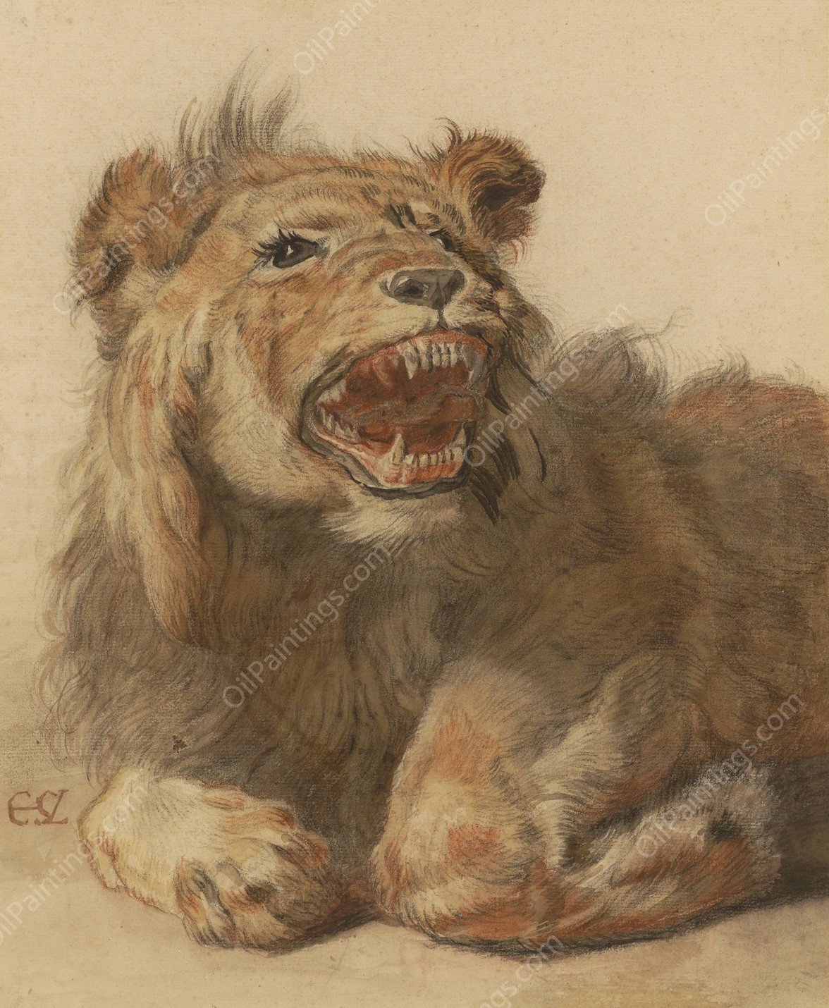 A Lion Snarling  by Cornelis Saftleven - Hand-Painted Oil Painting Reproduction