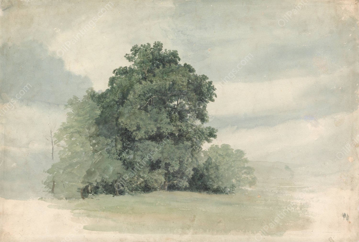 Study of Trees at the Edge of a Field by Cornelius Varley - Hand-Painted Oil Painting Reproduction