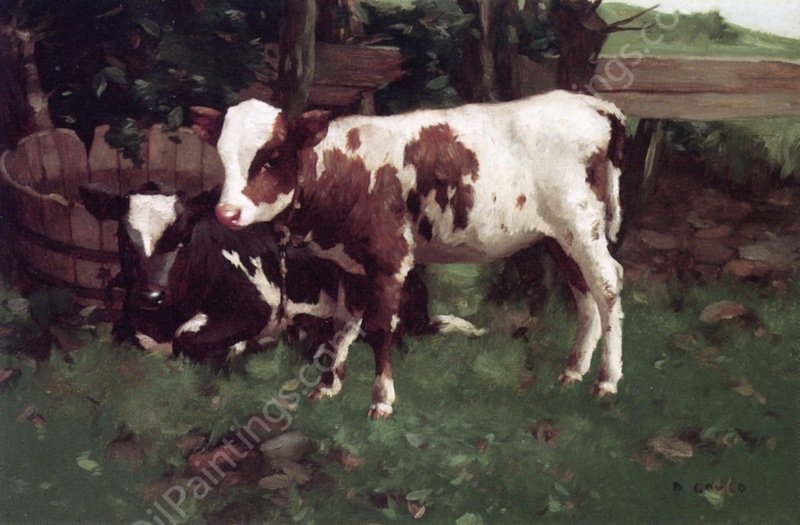 Calves at Rest by David Gauld - Hand-Painted Oil Painting Reproduction
