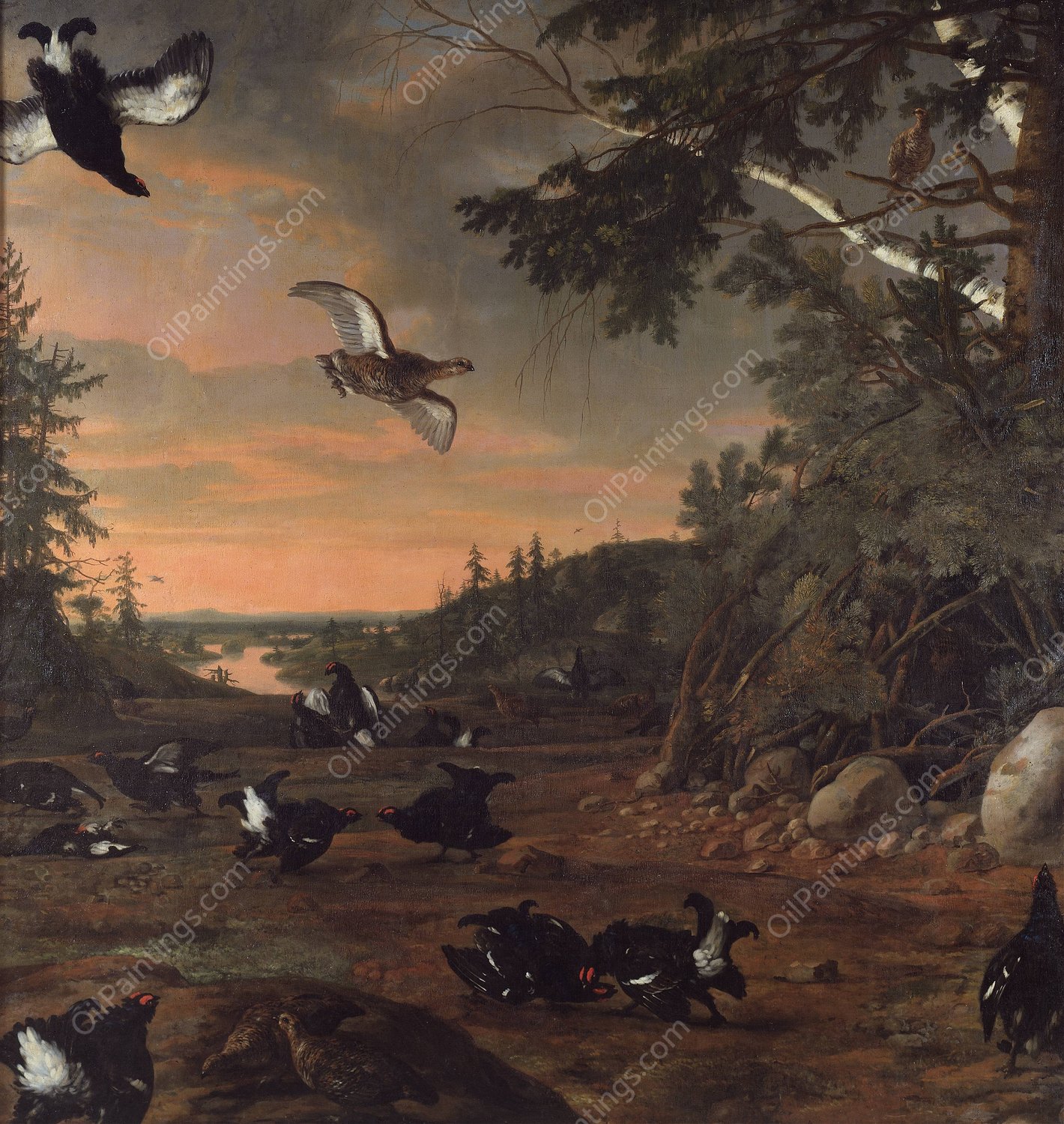 Black Cocks at Ground  by David Klocker Ehrenstrahl - Hand-Painted Oil Painting Reproduction