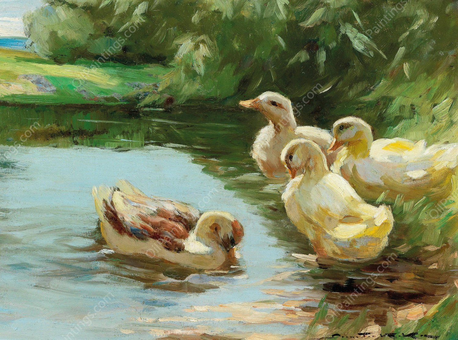 Ducks in the water by Demeter Koko - Hand-Painted Oil Painting Reproduction