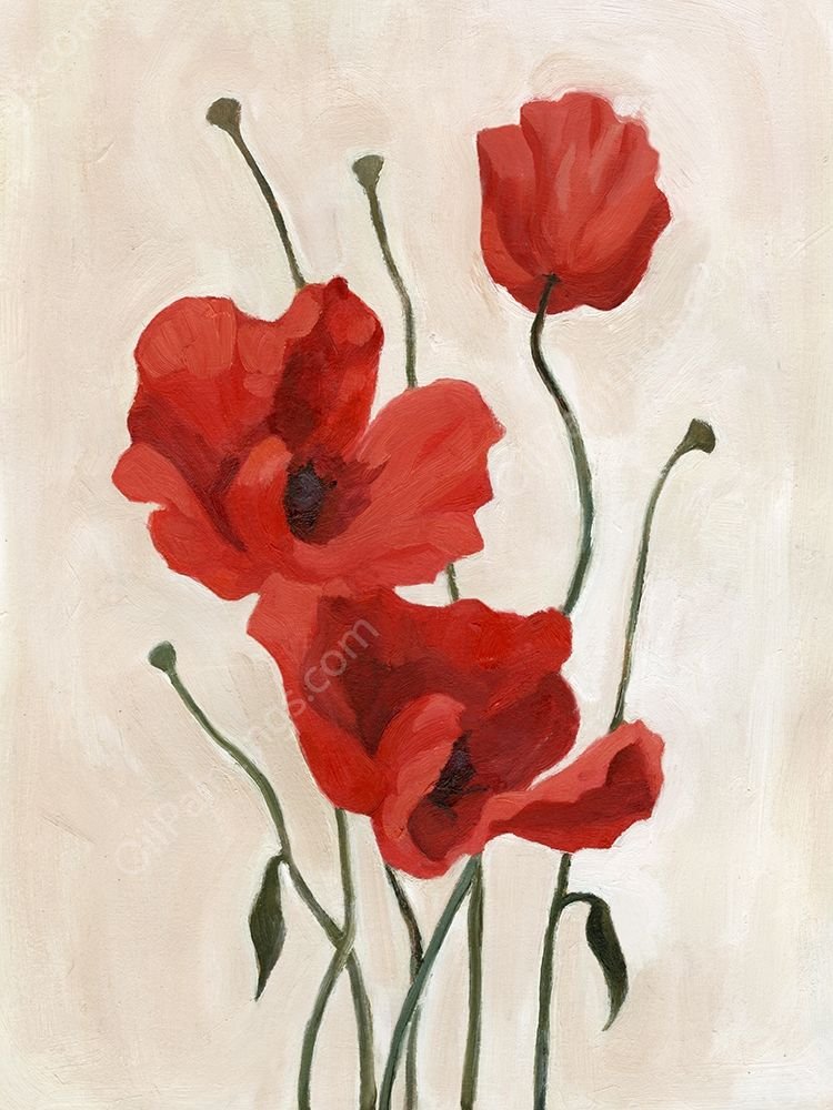 Poppy Bouquet II by Emma Scarvey - Hand-Painted Oil Painting Reproduction