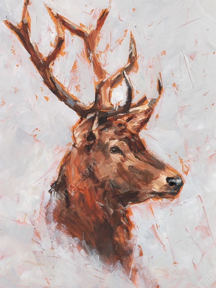 Stag Study II by Ethan Harper - Hand-Painted Oil Painting Reproduction