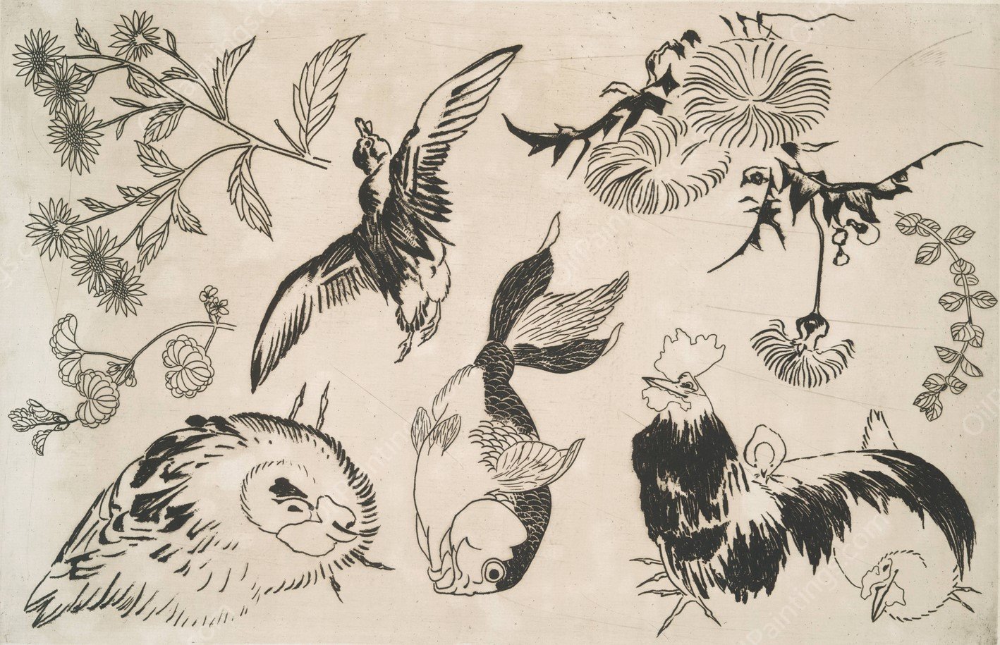 Coq, canard, poisson, plantes  by Felix Bracquemond - Hand-Painted Oil Painting Reproduction