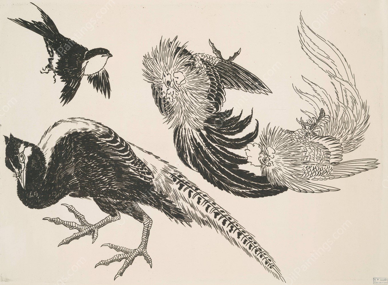 Faisans, oiseaux  by Felix Bracquemond - Hand-Painted Oil Painting Reproduction