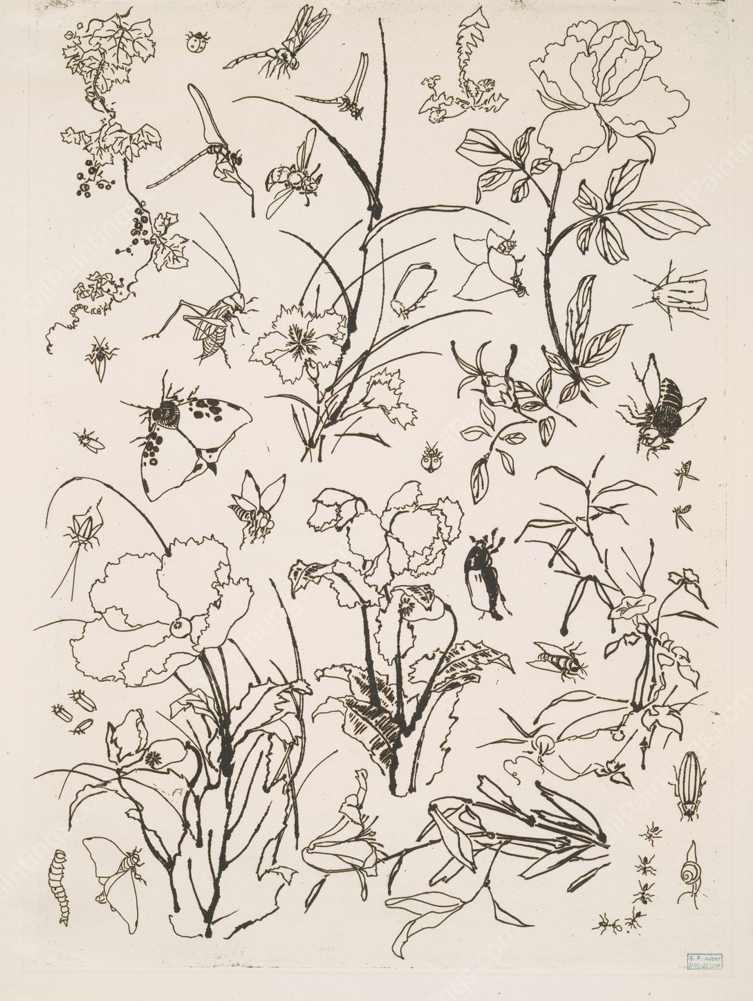 Fleurs et insectes  by Felix Bracquemond - Hand-Painted Oil Painting Reproduction