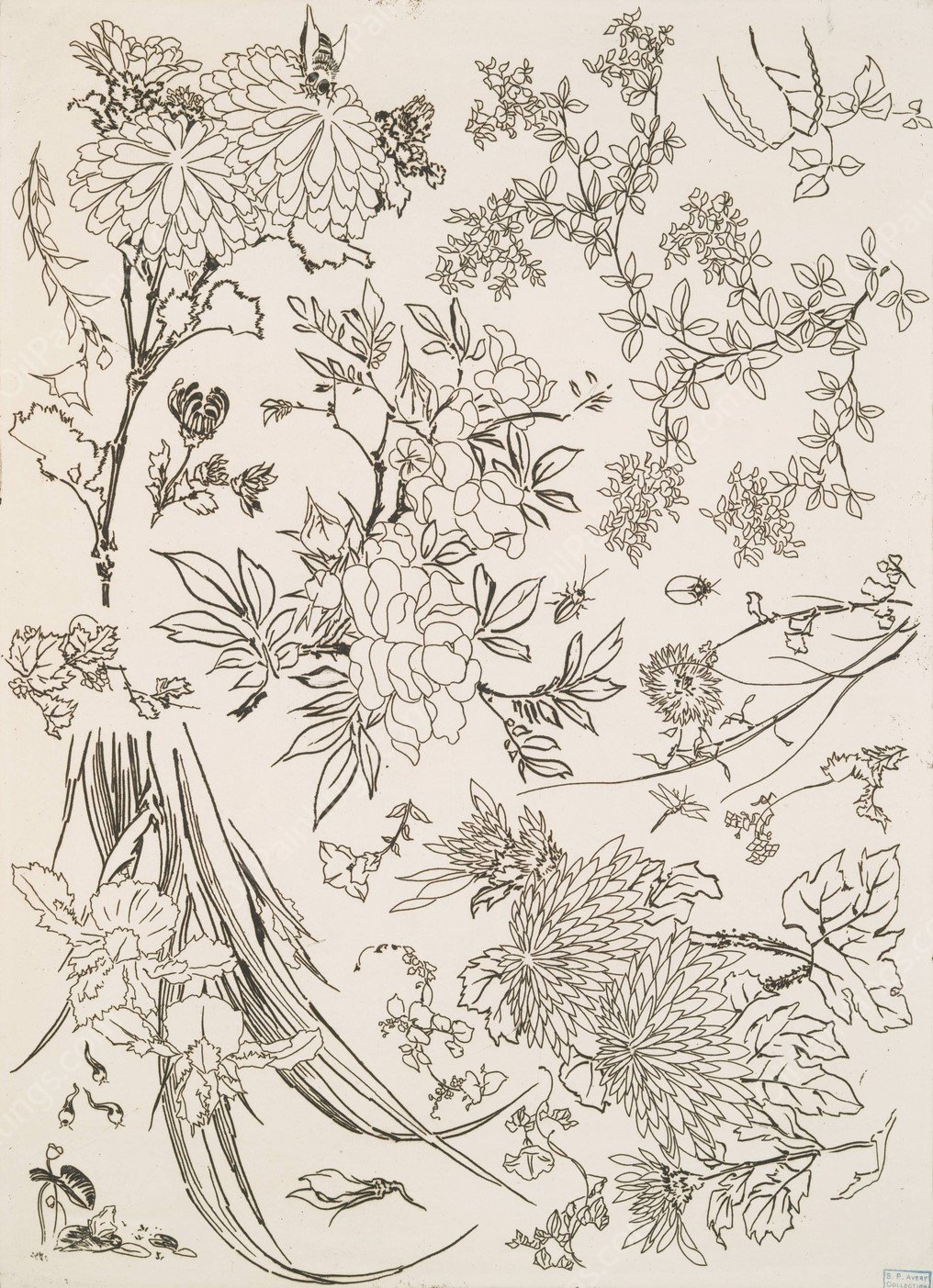 Fleurs  by Felix Bracquemond - Hand-Painted Oil Painting Reproduction