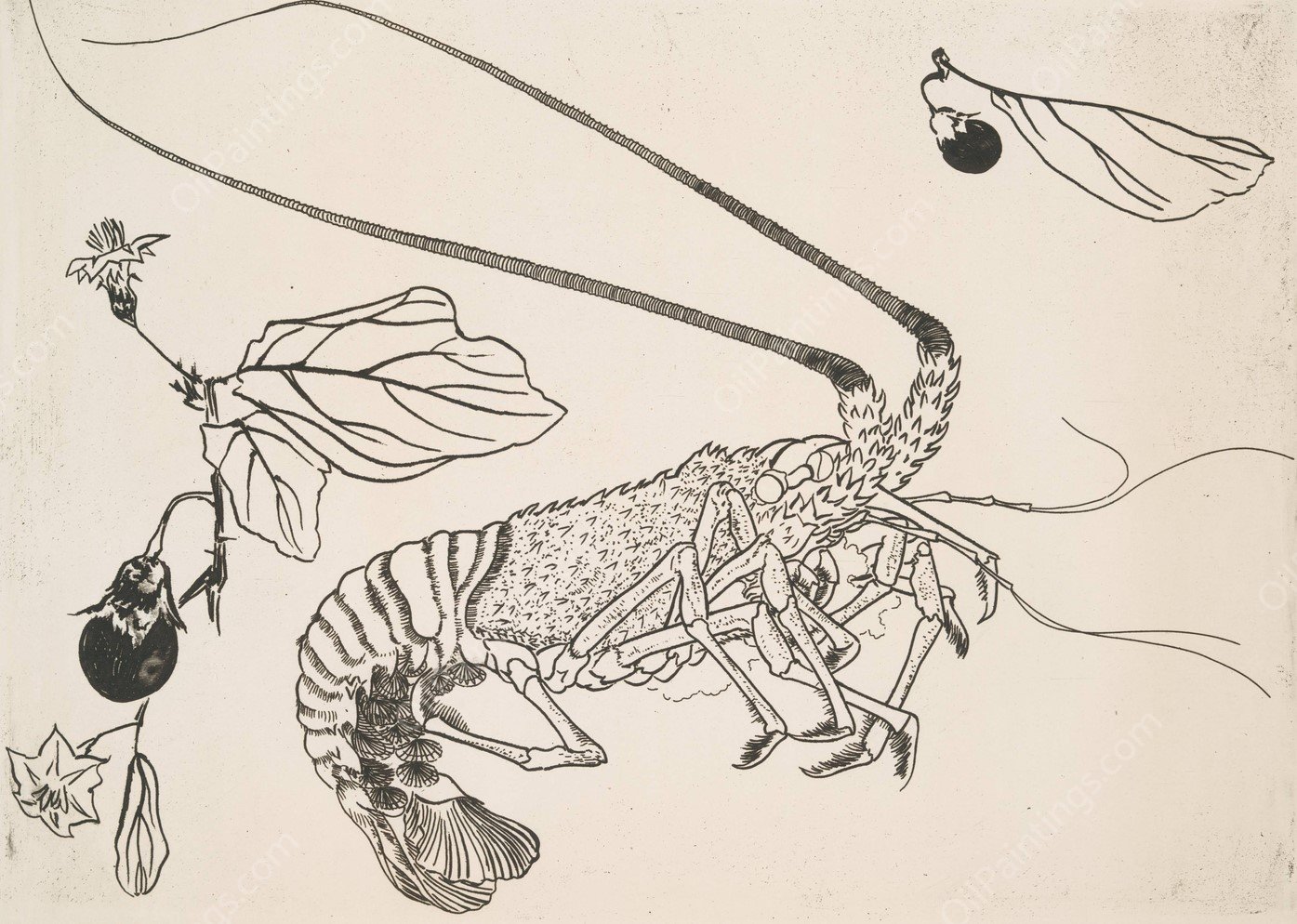 Grand langouste aux antennes relevees  by Felix Bracquemond - Hand-Painted Oil Painting Reproduction